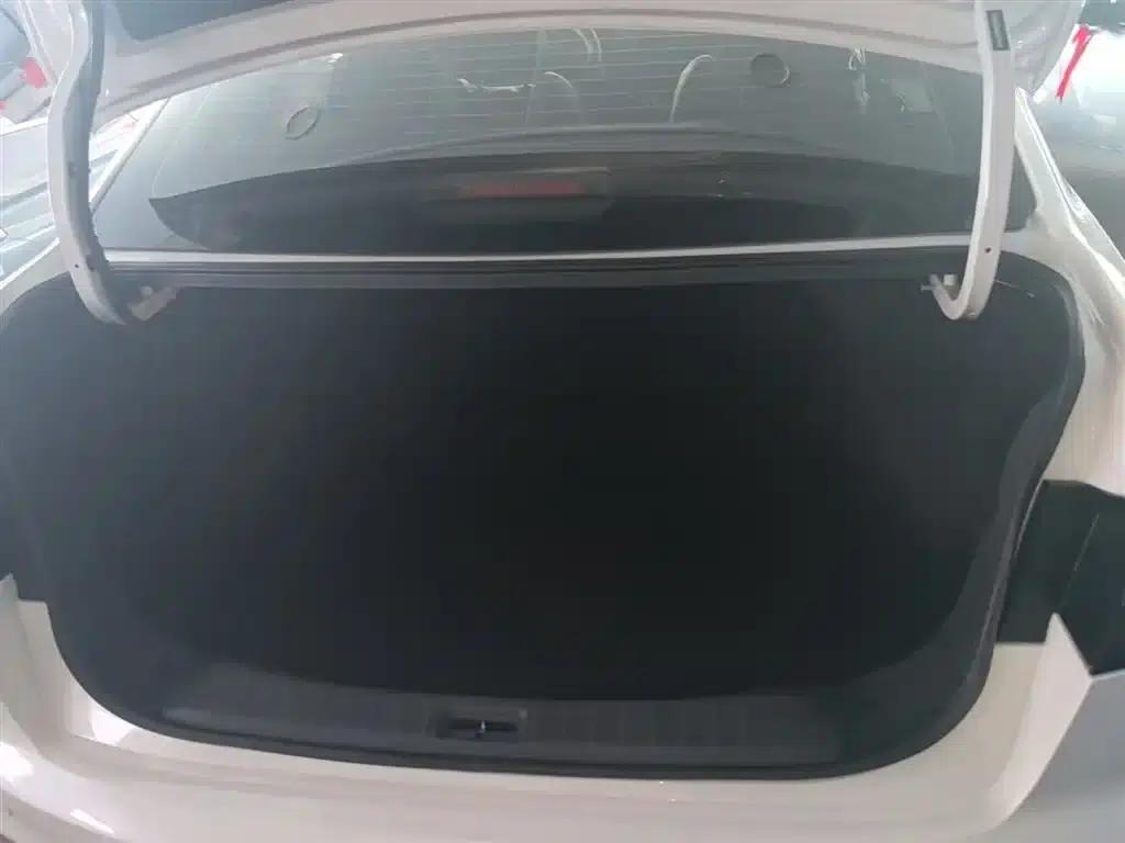 Venucia D60 2021 PLUS 1.6L XL CVT Elite Edition — миниатюра 19