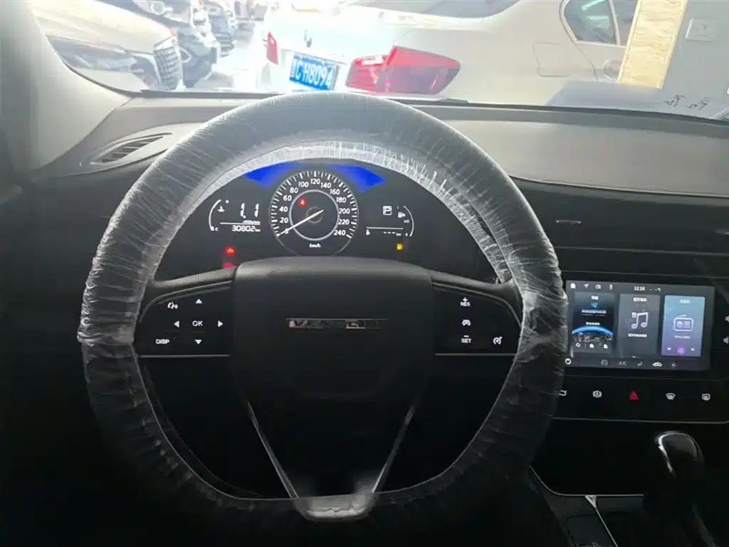 Venucia D60 2021 PLUS 1.6L XL CVT Elite Edition — миниатюра 10