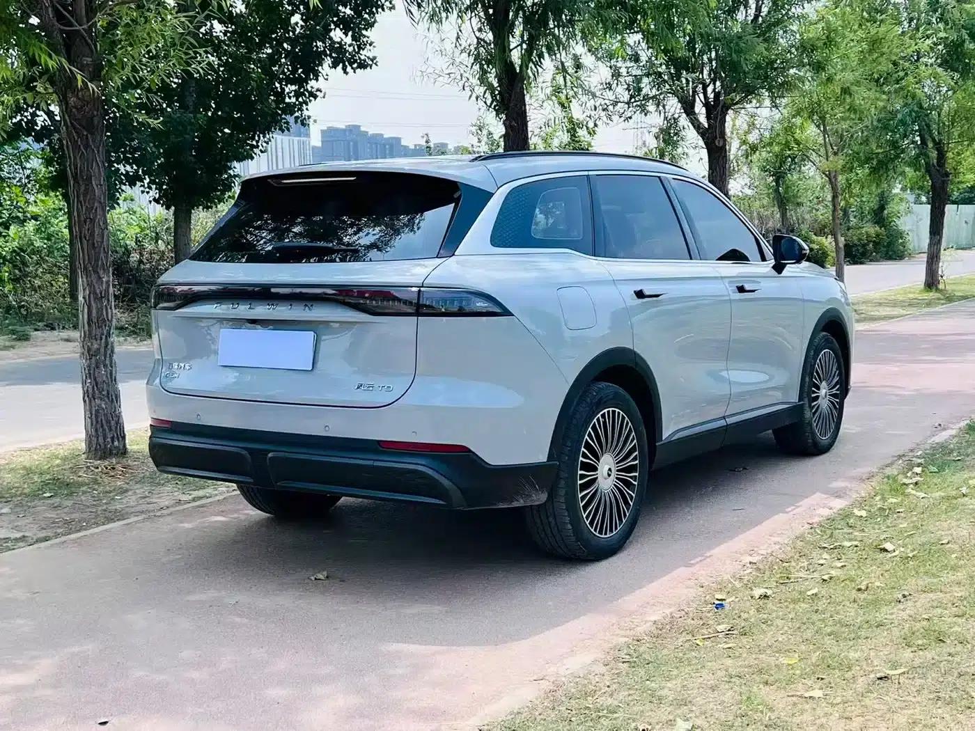 Fengyun T9 2024 Model 120 Long Range Flagship 7-Seater Ternary Lithium — миниатюра 8