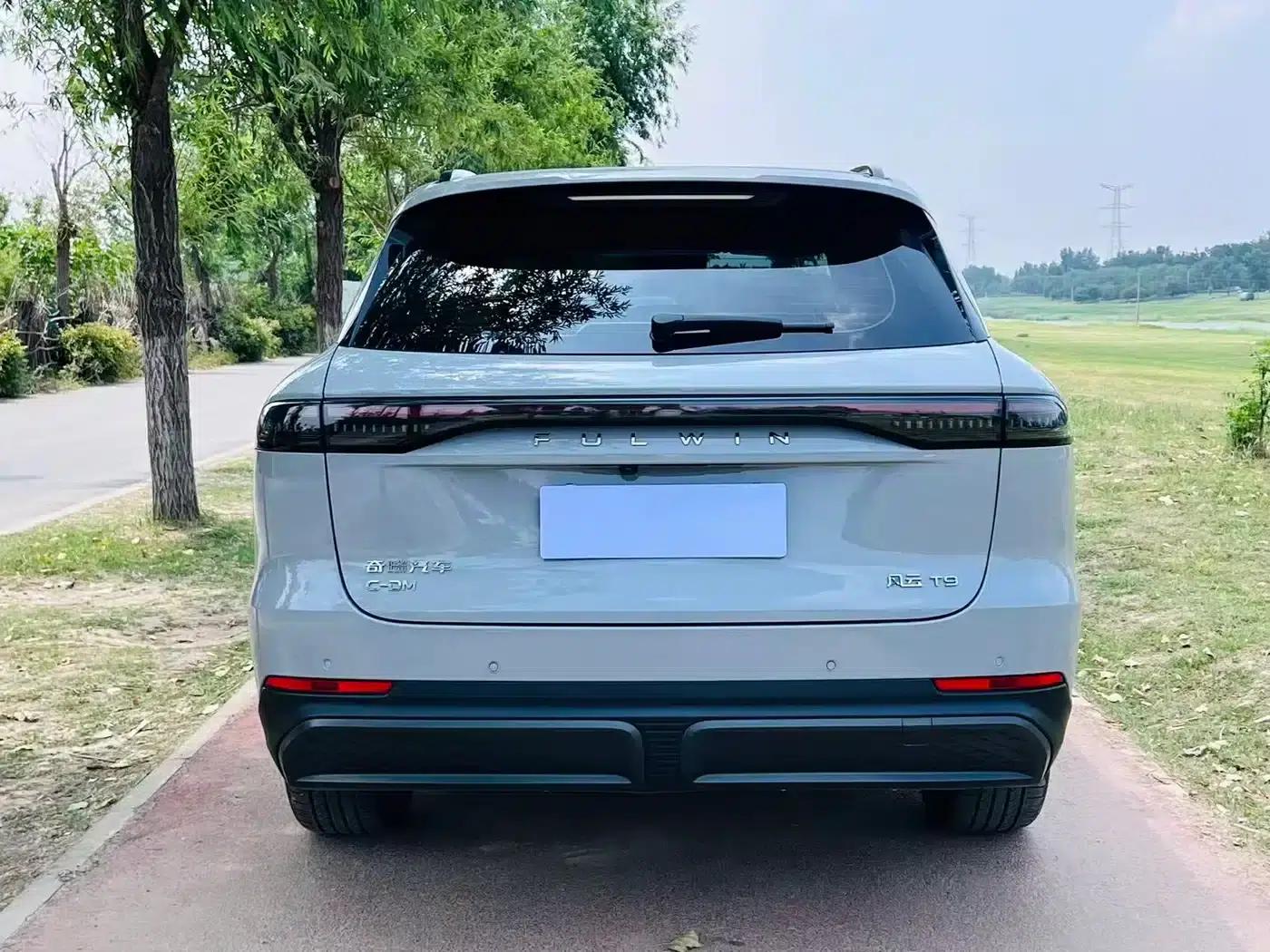 Fengyun T9 2024 Model 120 Long Range Flagship 7-Seater Ternary Lithium — миниатюра 9