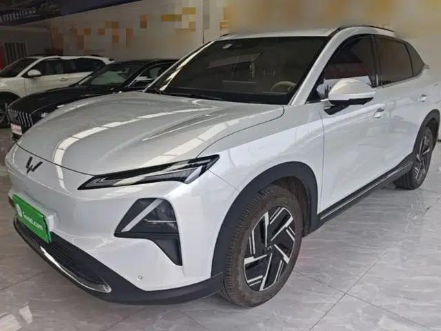 Wuling Xingguang S 2024 130 km Flagship Version