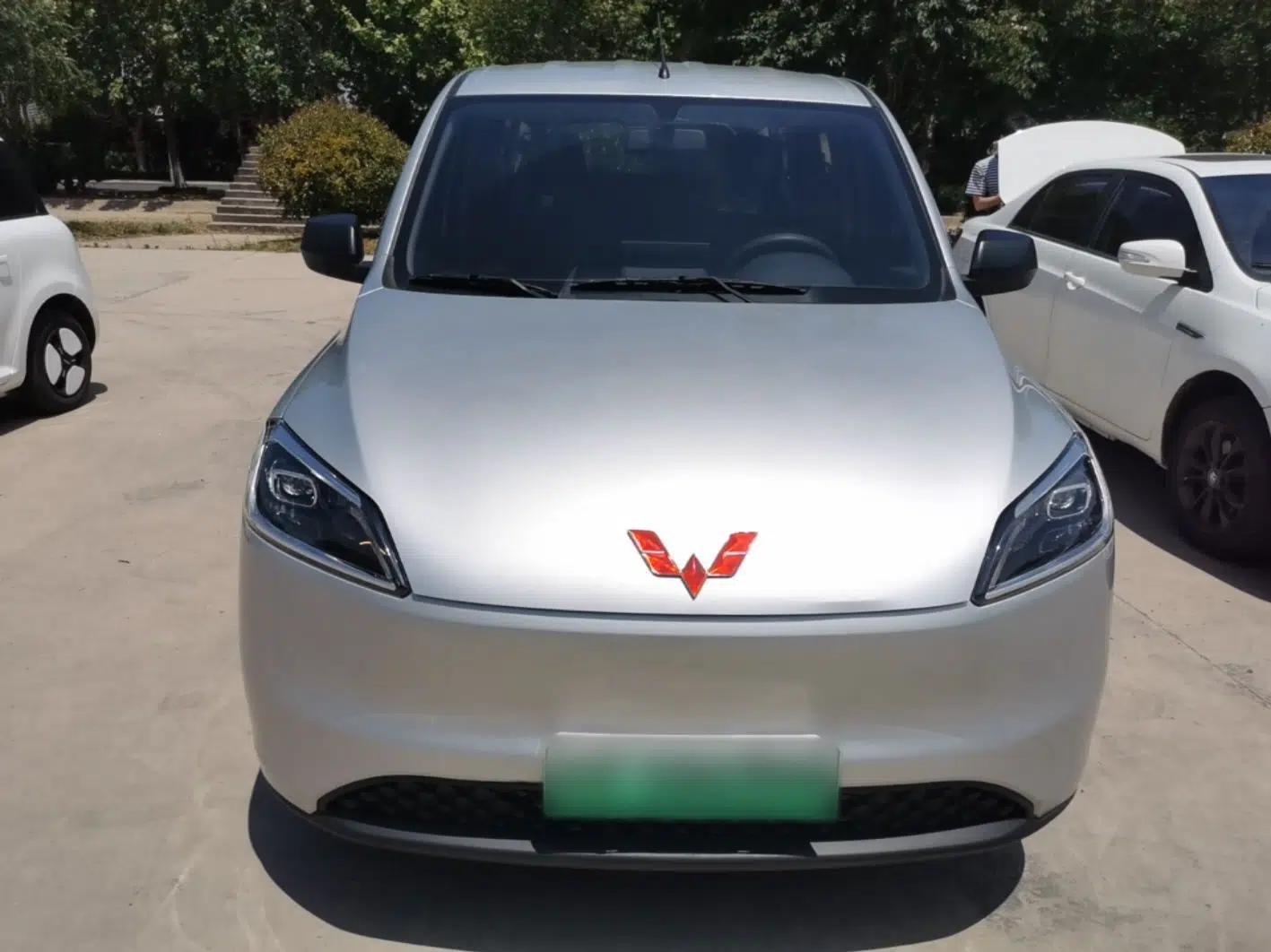Wuling Hongguang New Energy 2024 All-Electric Model 300KM Standard Version — миниатюра 2