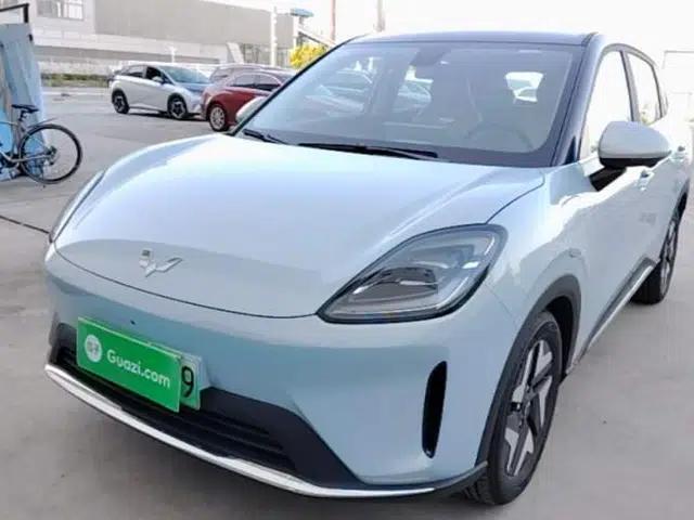 Wuling Bingo S 2025 Model 430km Flagship Edition