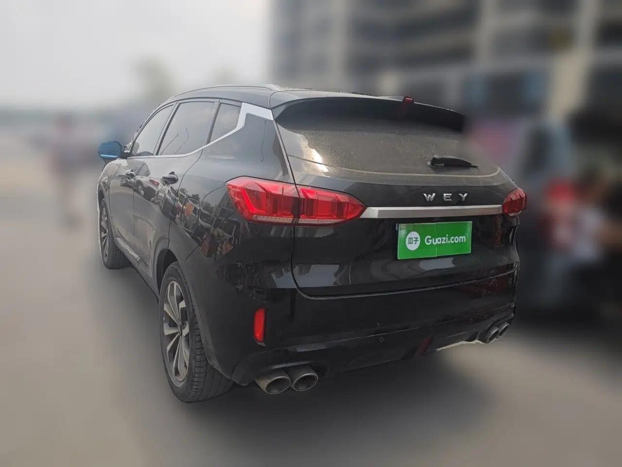 Wey VV6 2019 2.0T Two-Wheel-Drive Ultra-Luxury Version China VI Standard — миниатюра 4