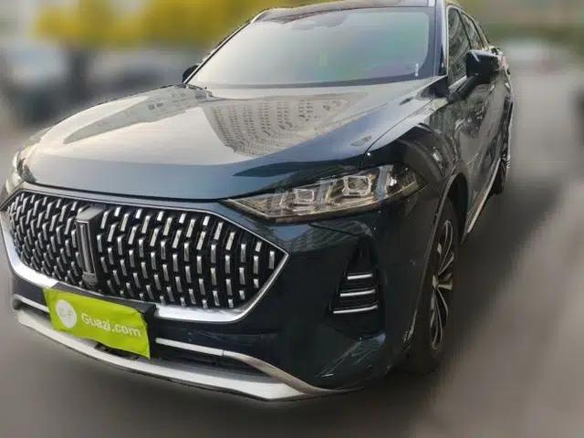 Wey Mocha 2021 2.0T Two-Wheel-Drive Ultra-Strong Version