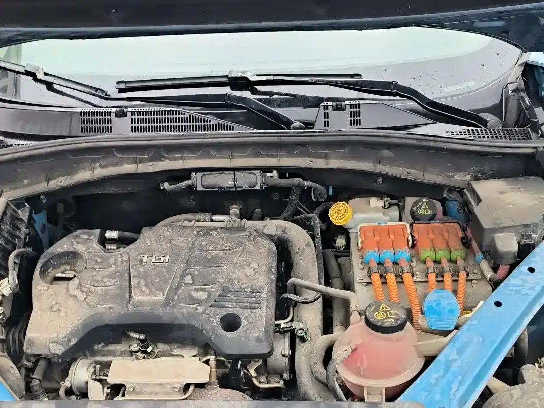 Roewe RX5 New Energy 2017 eRX5 50T Hybrid Connected Premium Flagship Edition — миниатюра 12