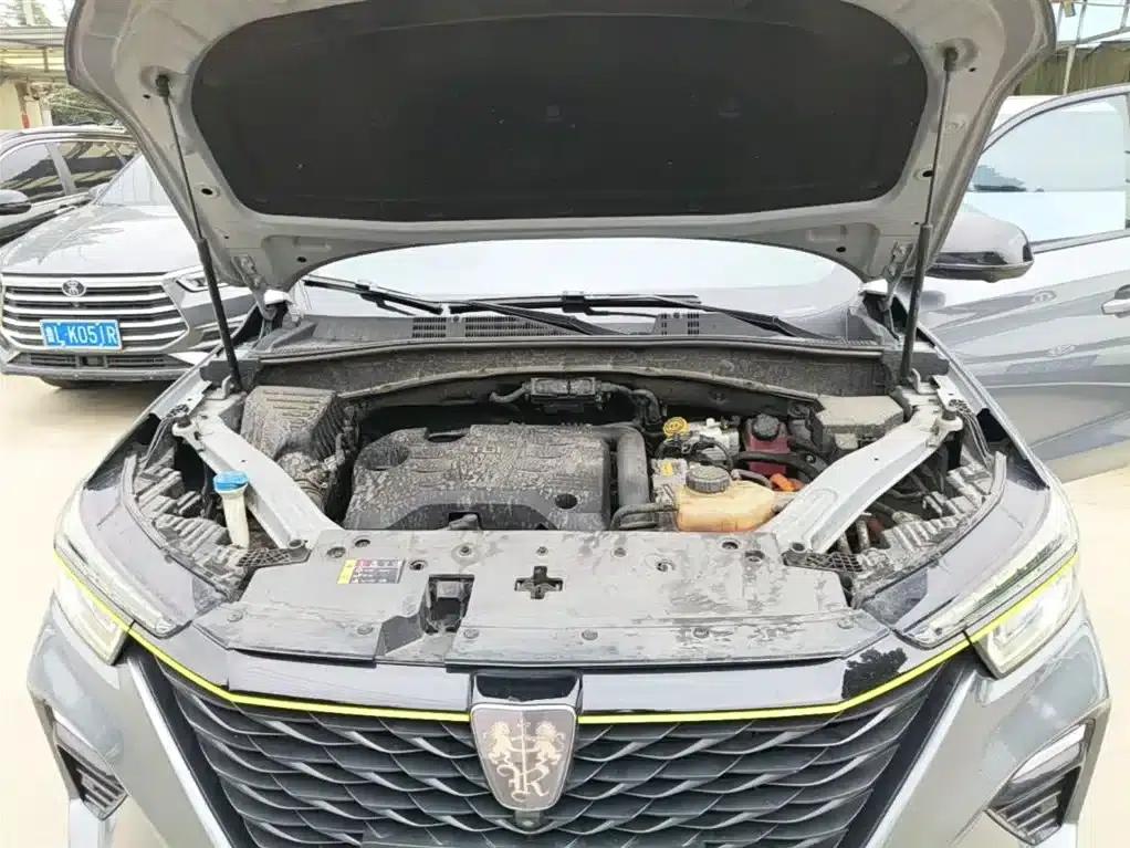 Roewe RX5 New Energy 2020 ePLUS National Trend Ronglin Luxury Edition — миниатюра 20