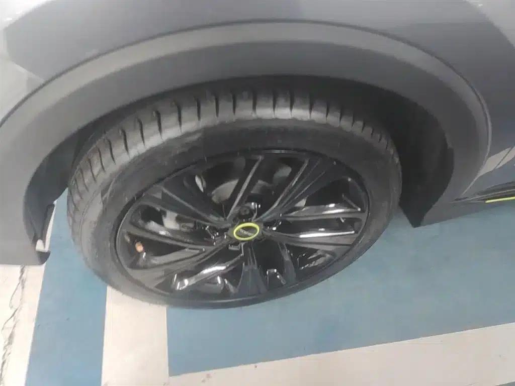 Roewe RX5 New Energy 2020 ePLUS National Trend Ronglin Flagship Edition — миниатюра 23
