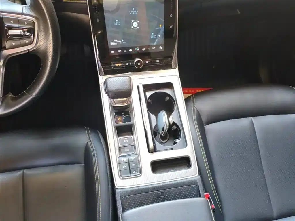 Roewe RX5 New Energy 2020 ePLUS National Trend Ronglin Flagship Edition — миниатюра 14