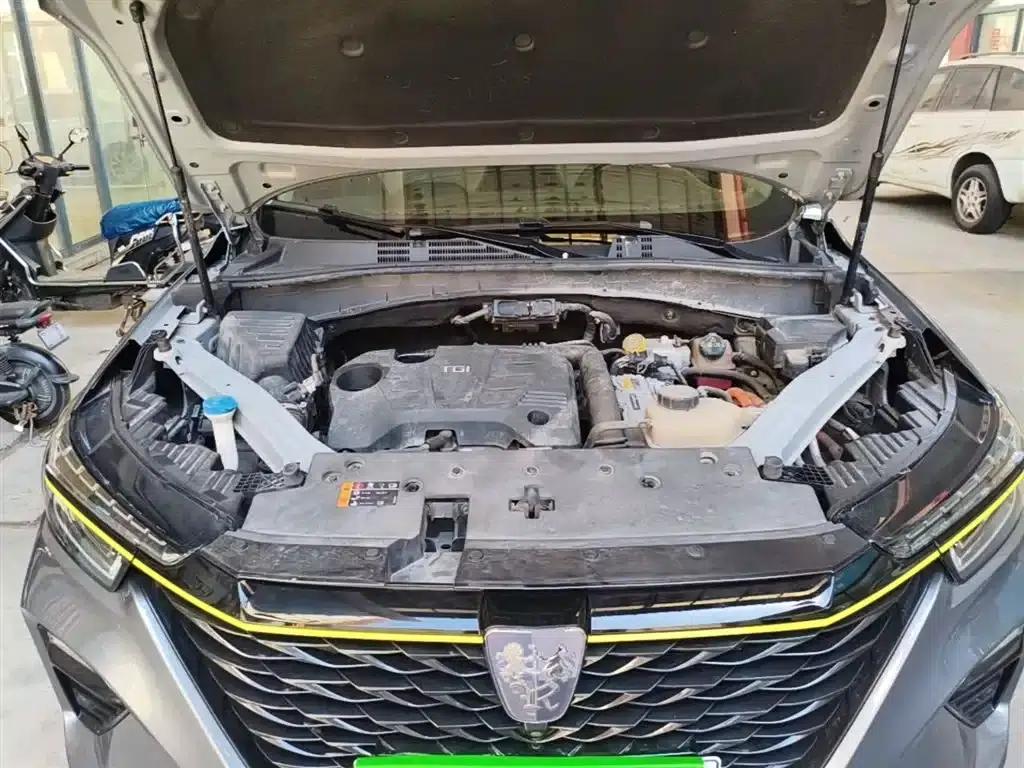 Roewe RX5 New Energy 2020 ePLUS National Trend Ronglin Flagship Edition — миниатюра 19