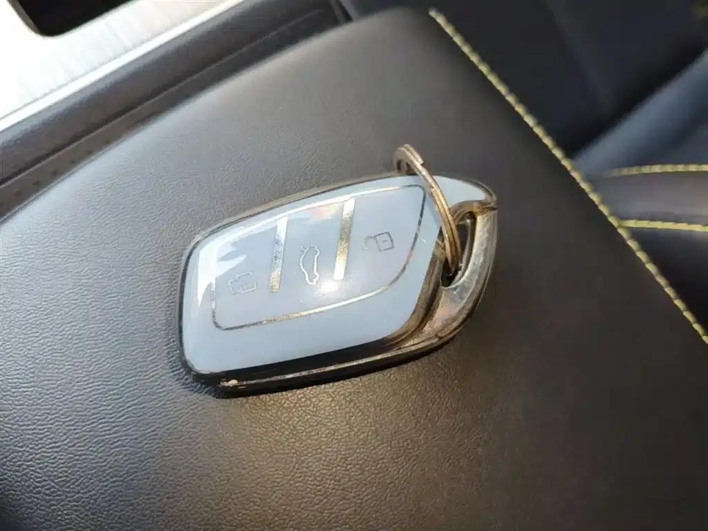 Roewe RX5 New Energy 2020 ePLUS National Trend Ronglin Flagship Edition — миниатюра 9