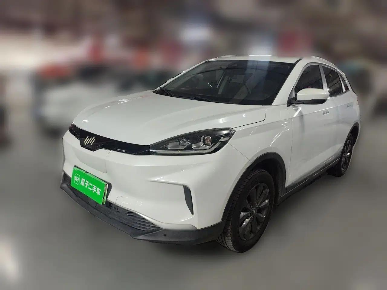 WM Motor EX5 2019 EX5 Mate Weymeng Edition 400 — миниатюра 1
