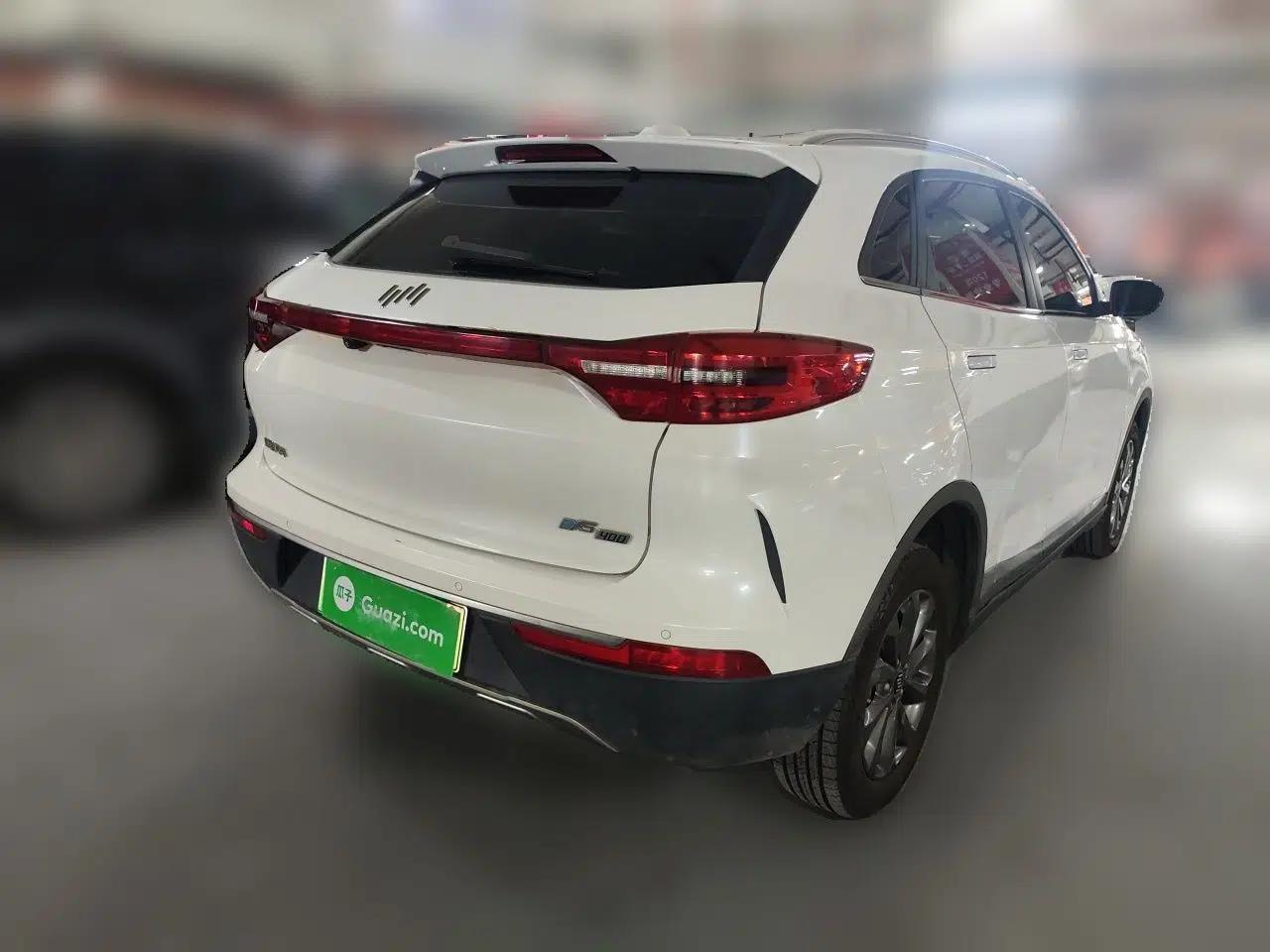 WM Motor EX5 2019 EX5 Mate Weymeng Edition 400 — миниатюра 6