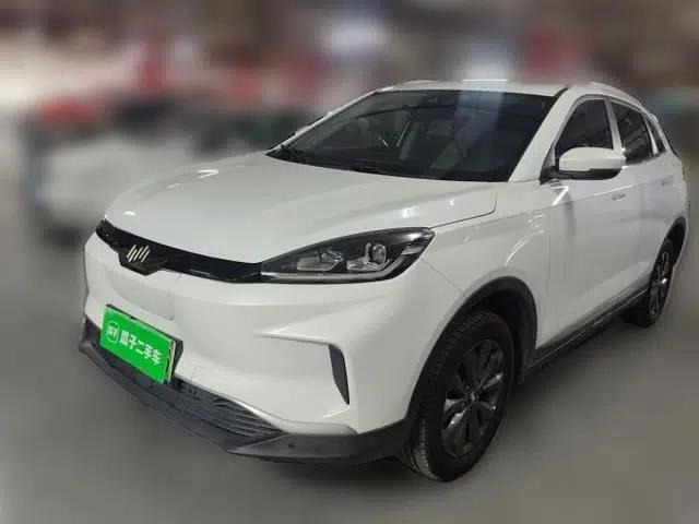 WM Motor EX5 2019 EX5 Mate Weymeng Edition 400