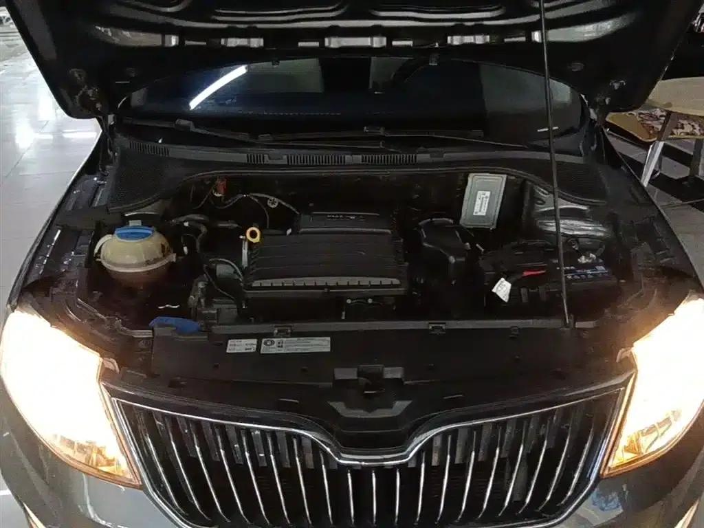 Rapid 2018 1.6L Automatic Comfort Edition — миниатюра 20