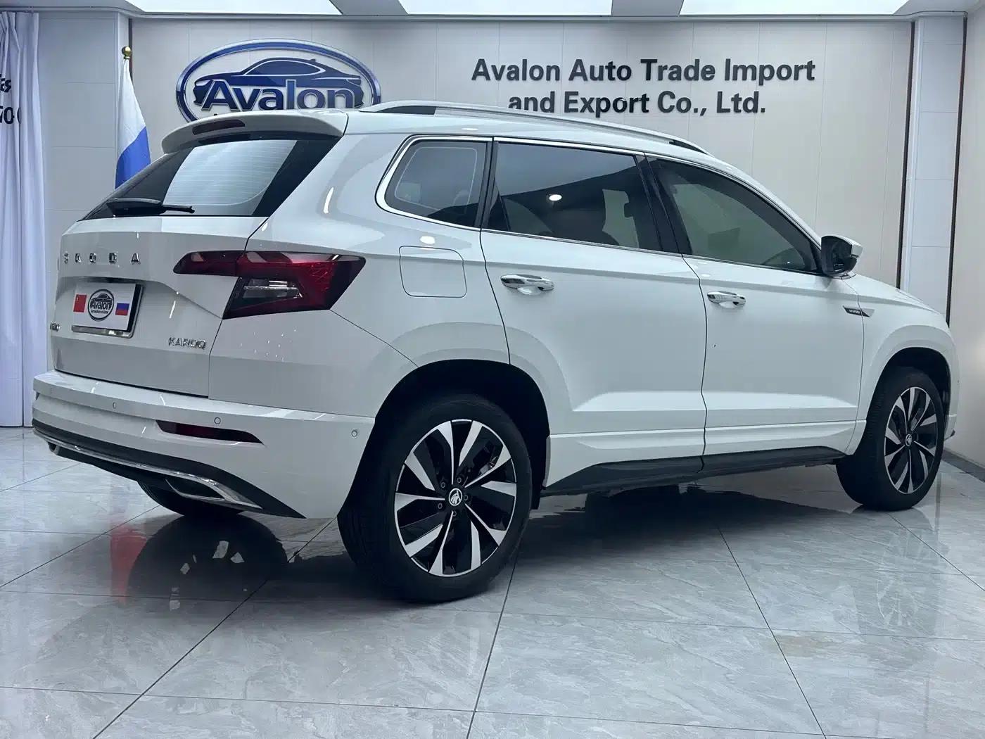 Karoq 2024 TSI280 Luxury Edition — миниатюра 6