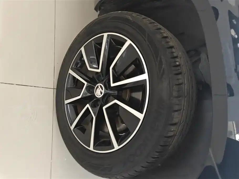 Karoq 2018 TSI280 Luxury Edition (National V Emission Standard) — миниатюра 6