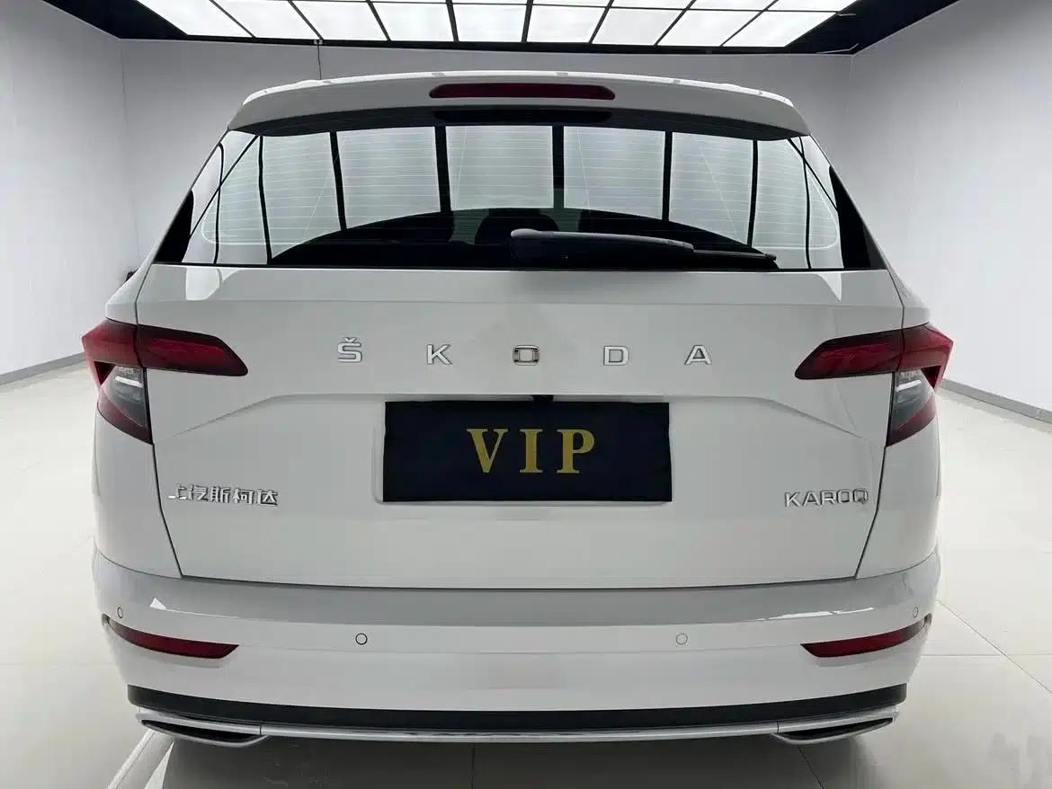 Karoq 2022 TSI280 Premium Edition — миниатюра 4