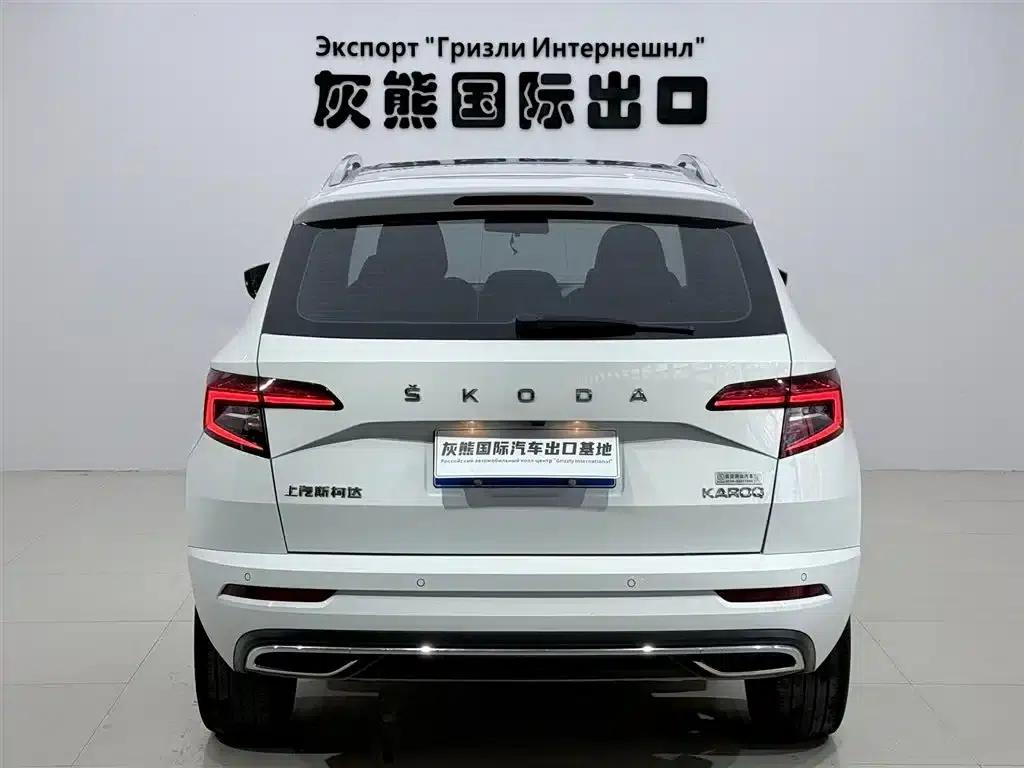 Karoq 2023 TSI280 Luxury Edition — миниатюра 5