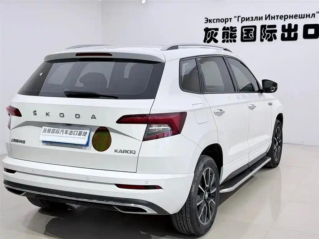 Karoq 2022 TSI280 Premium Edition — миниатюра 4