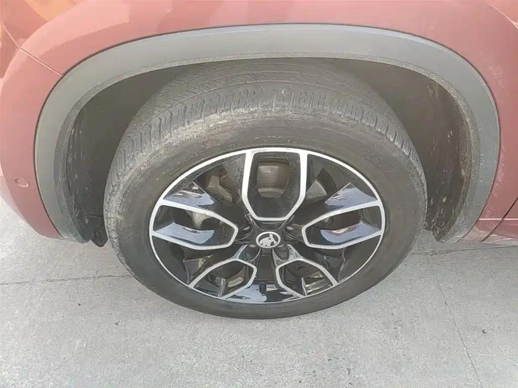 2019 Kodiaq GT TSI330 2WD Luxury Edition (China V Emission Standard) — миниатюра 21