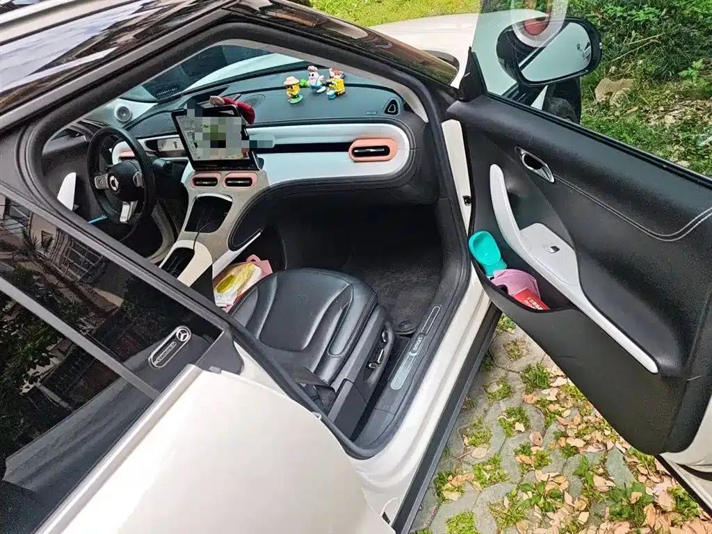 Smart Sprite #1 2022 Pulse Edition — миниатюра 21