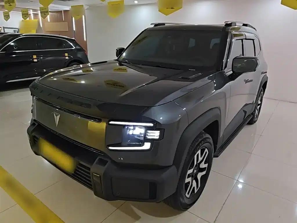 Deep Blue G318 2024 Two-Wheel Drive Comfort Edition — миниатюра 1