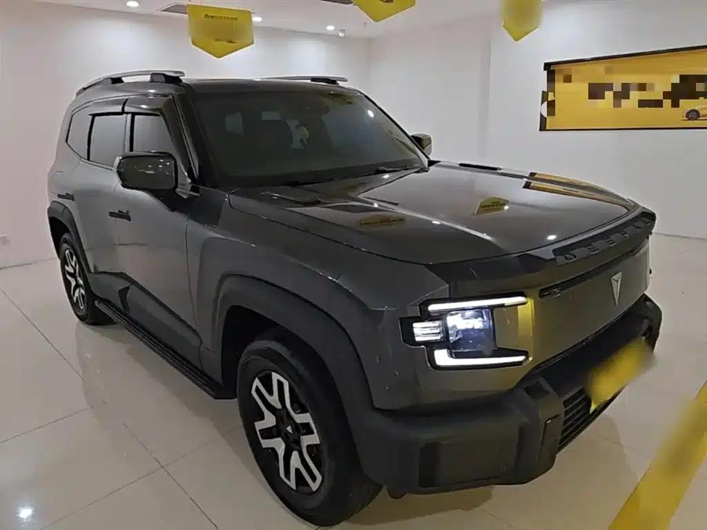 Deep Blue G318 2024 Two-Wheel Drive Comfort Edition — миниатюра 4