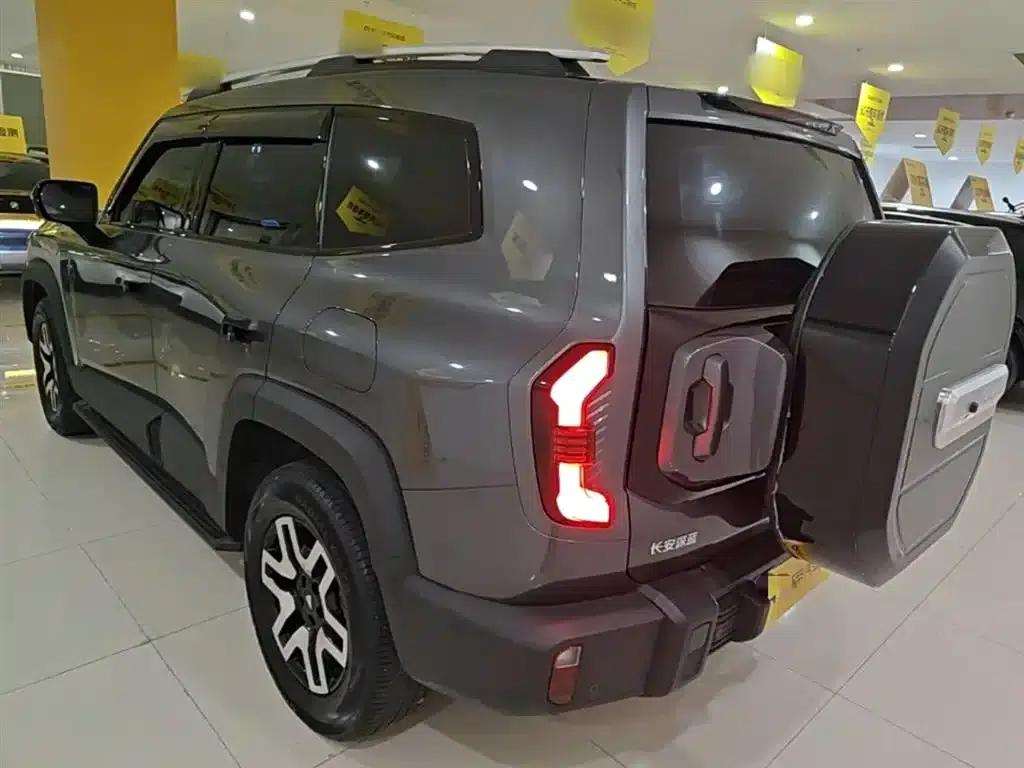 Deep Blue G318 2024 Two-Wheel Drive Comfort Edition — миниатюра 5