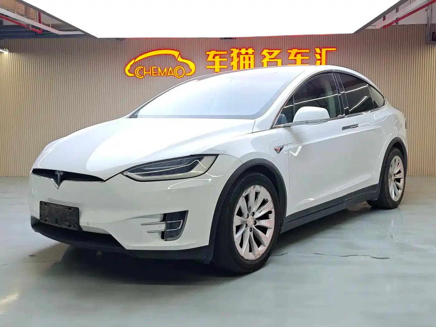 2016 Model X 75D — миниатюра 1