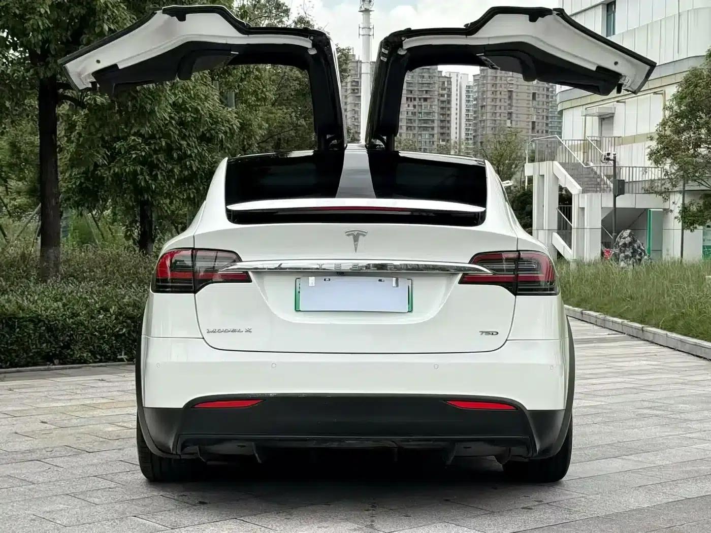 2016 Model X 75D — миниатюра 8