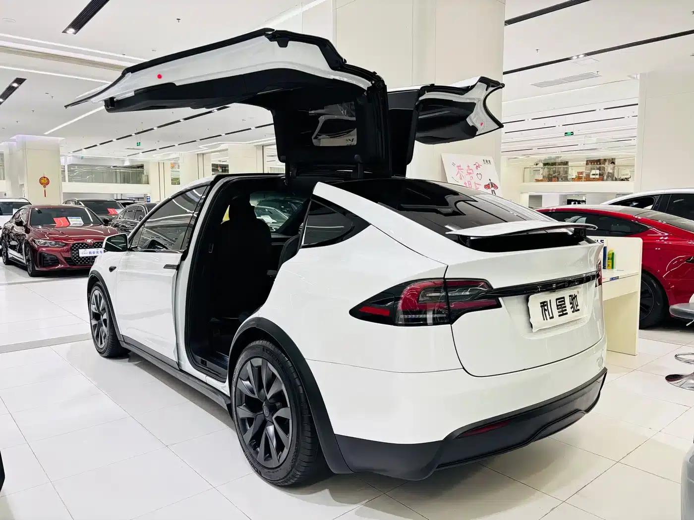 2023 Model X Dual Motor All-Wheel Drive — миниатюра 4