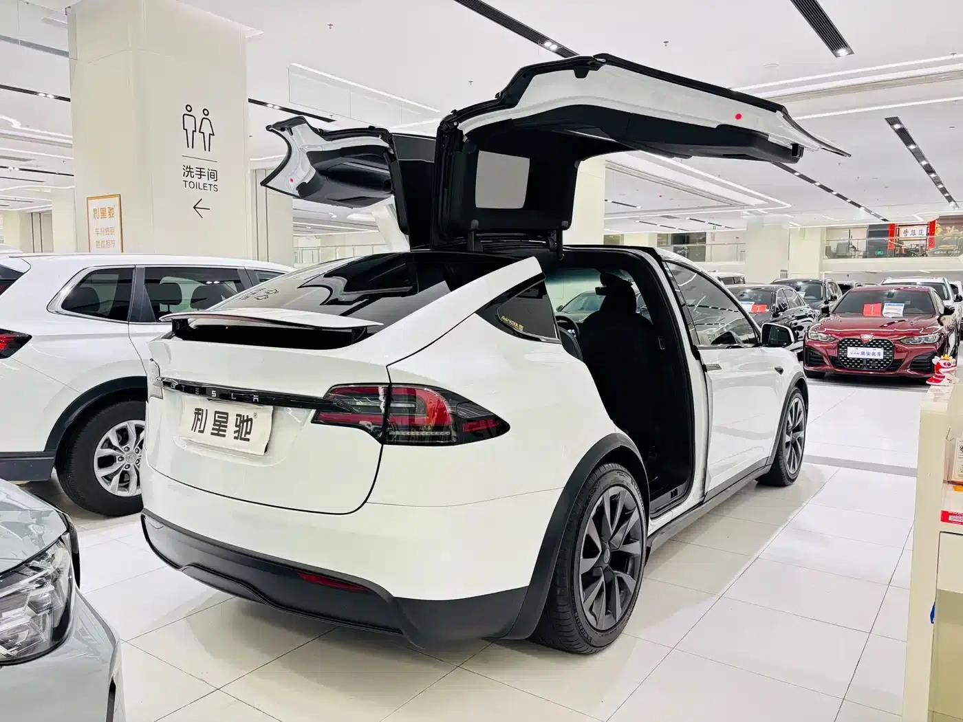 2023 Model X Dual Motor All-Wheel Drive — миниатюра 5