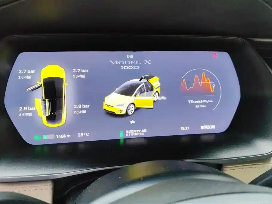 2017 Model X 100D Long Range — миниатюра 14