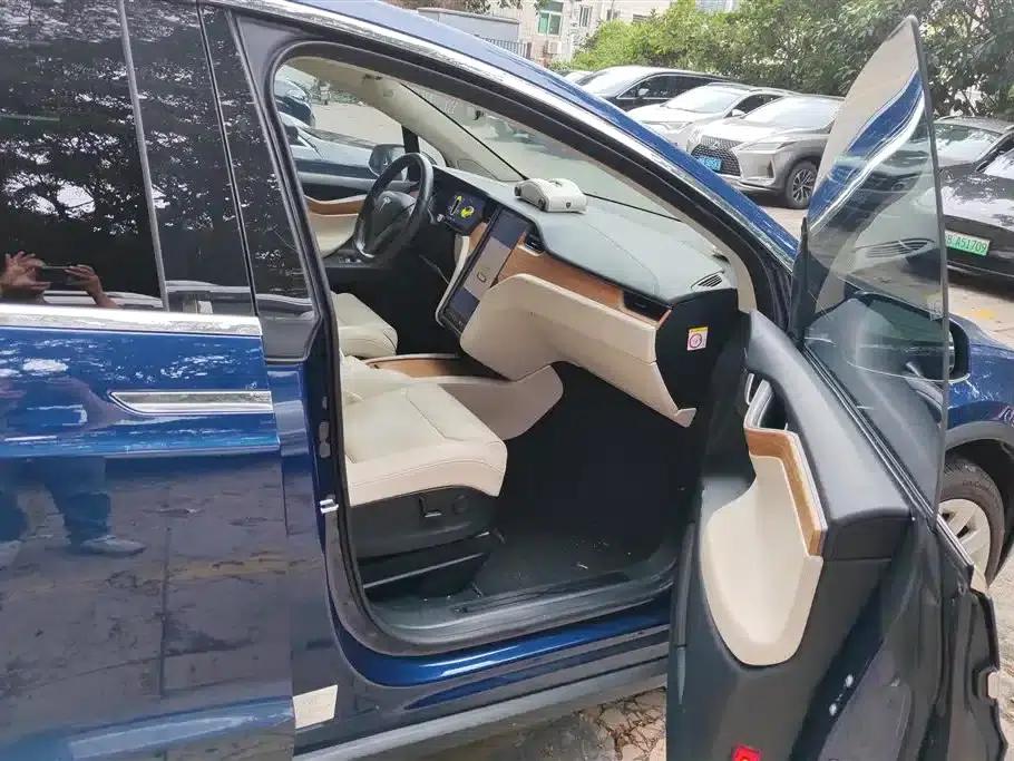 2017 Model X 100D Long Range — миниатюра 8