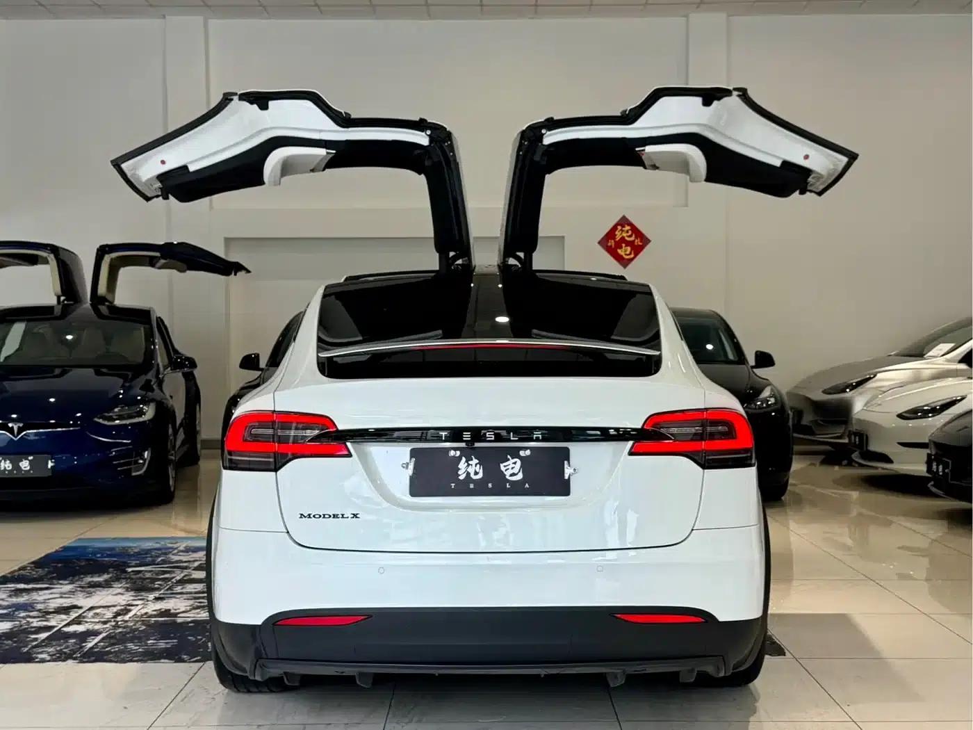 2016 Model X 75D — миниатюра 14