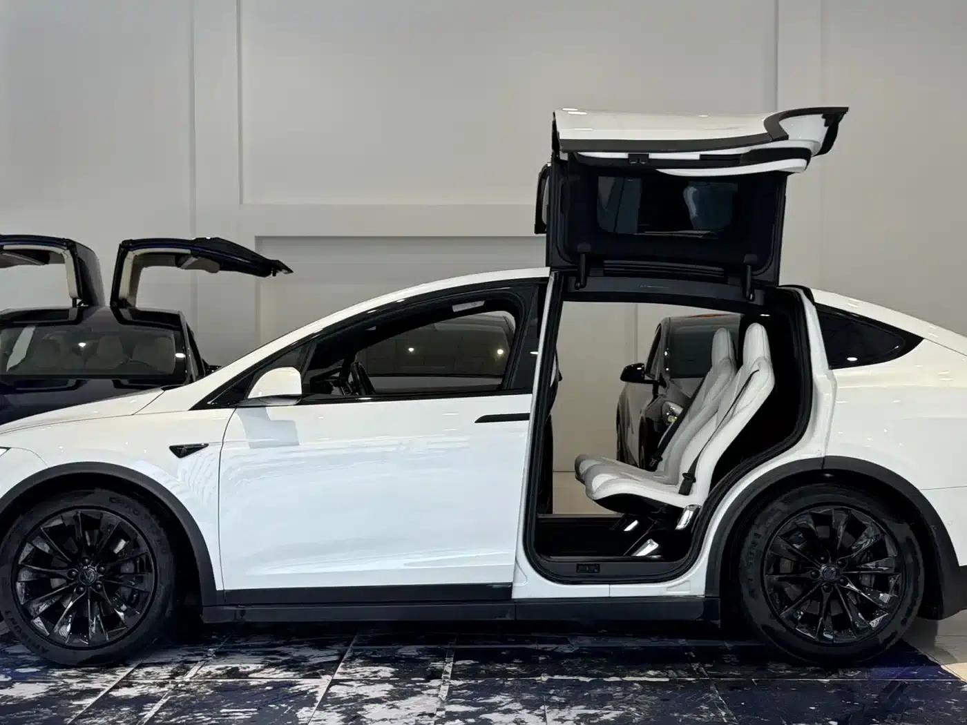 2016 Model X 75D — миниатюра 17