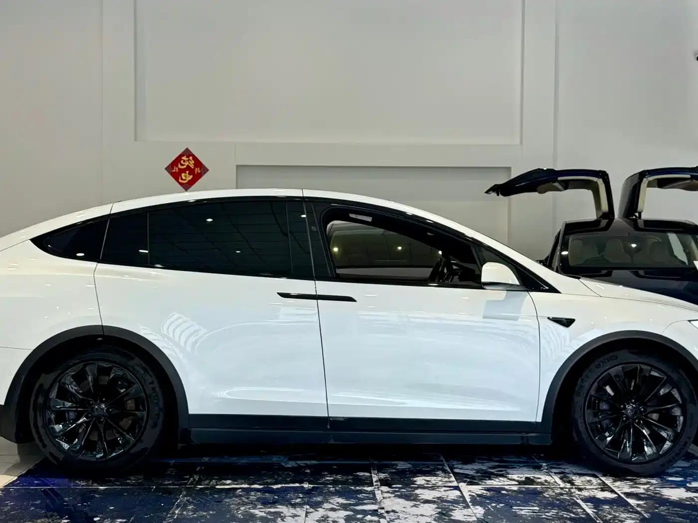 2016 Model X 75D — миниатюра 18