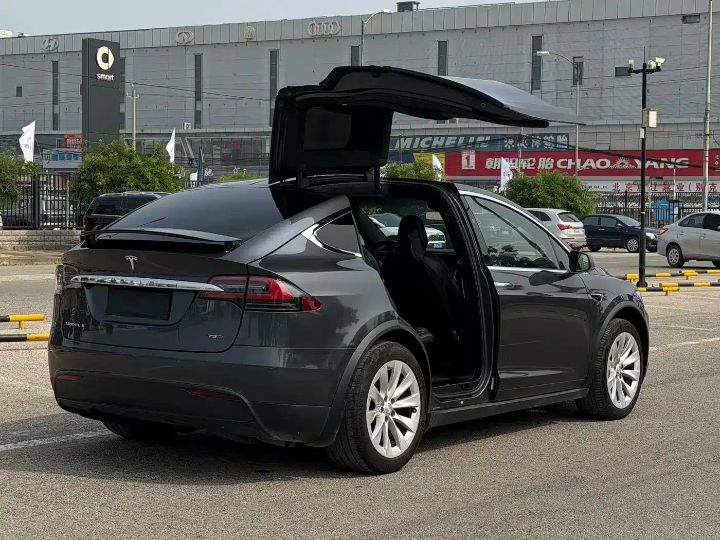 2016 Model X 75D — миниатюра 9