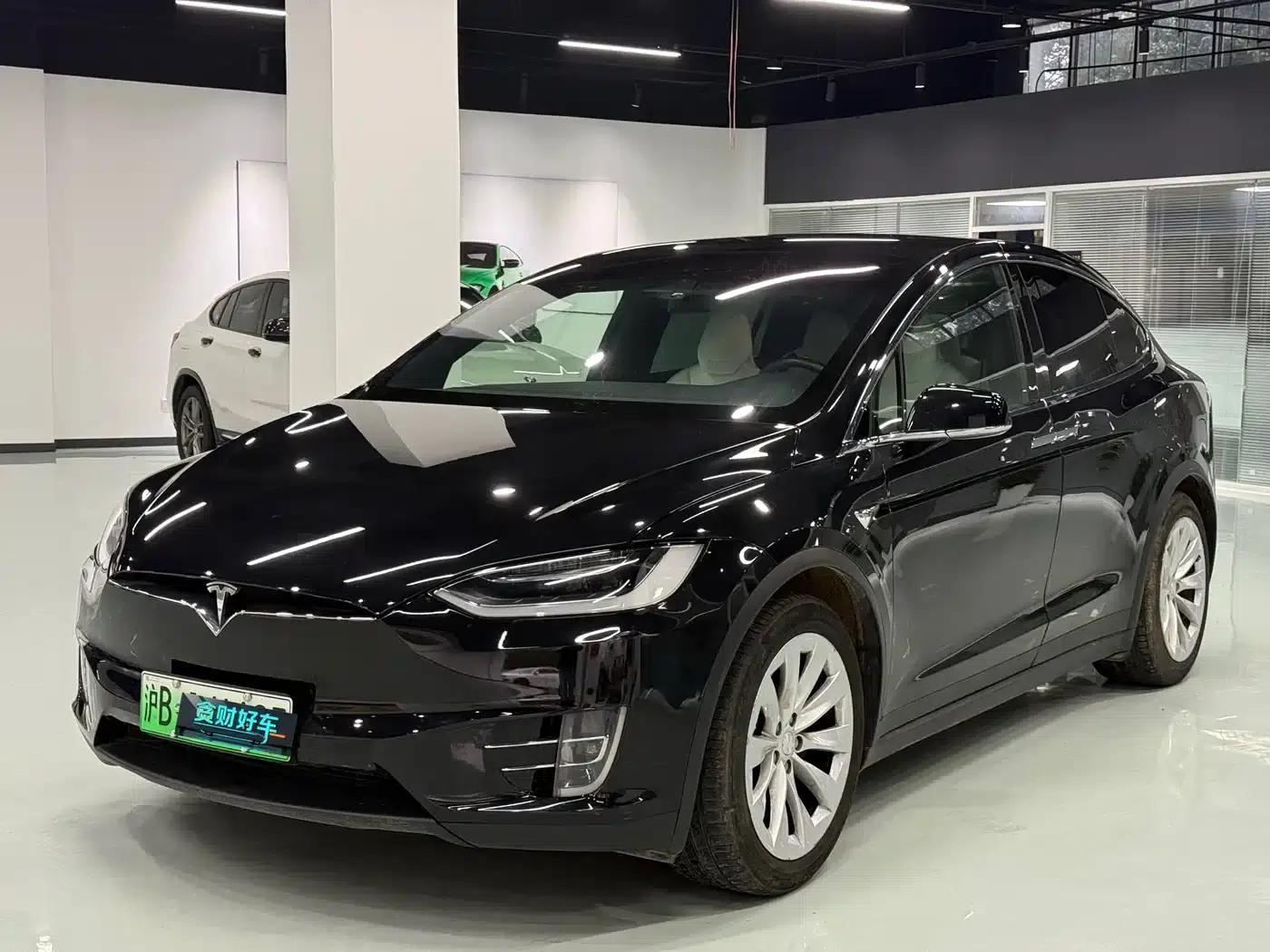 2017 Model X 100D Long Range — миниатюра 1