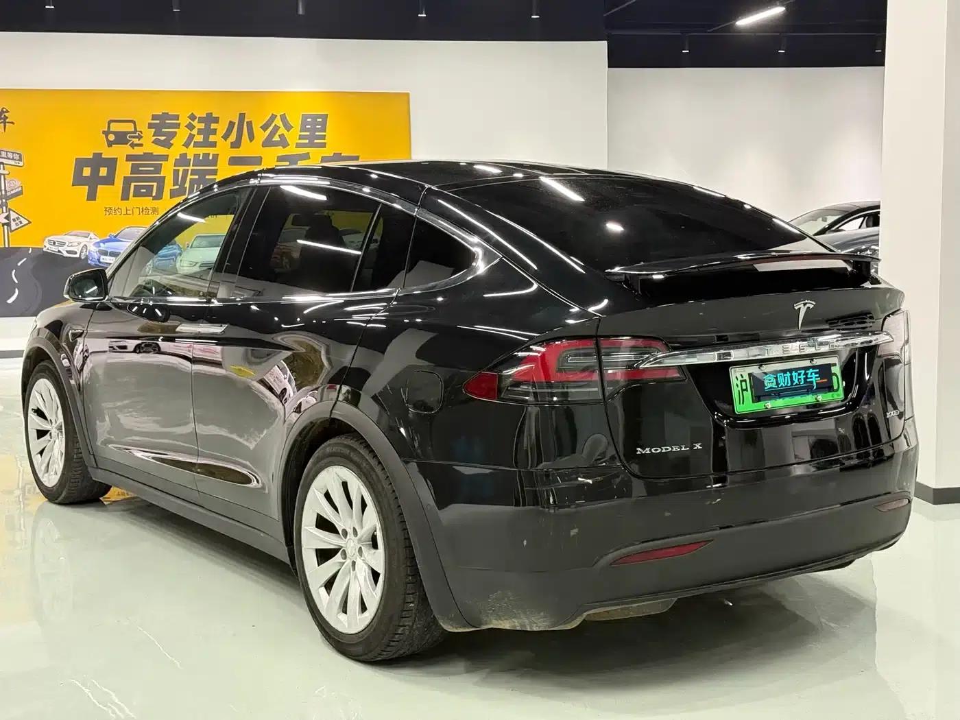 2017 Model X 100D Long Range — миниатюра 8
