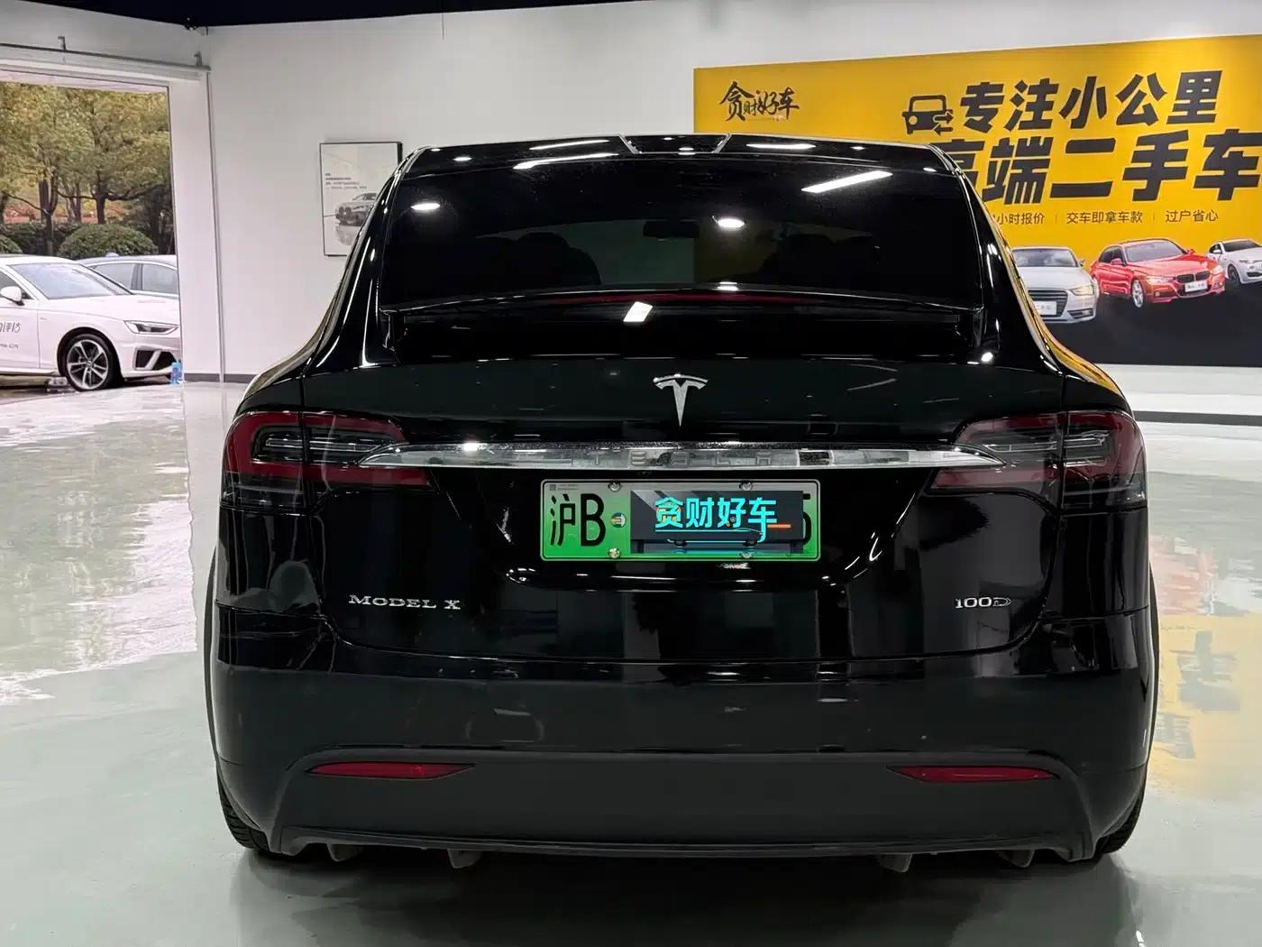 2017 Model X 100D Long Range — миниатюра 9