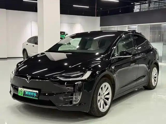 2017 Model X 100D Long Range