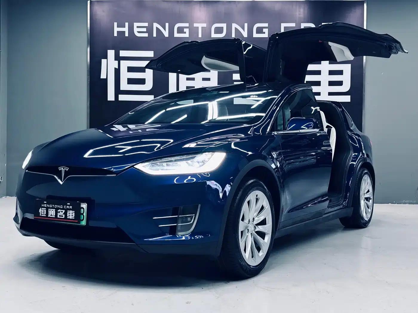 2017 Model X 100D Long Range — миниатюра 1