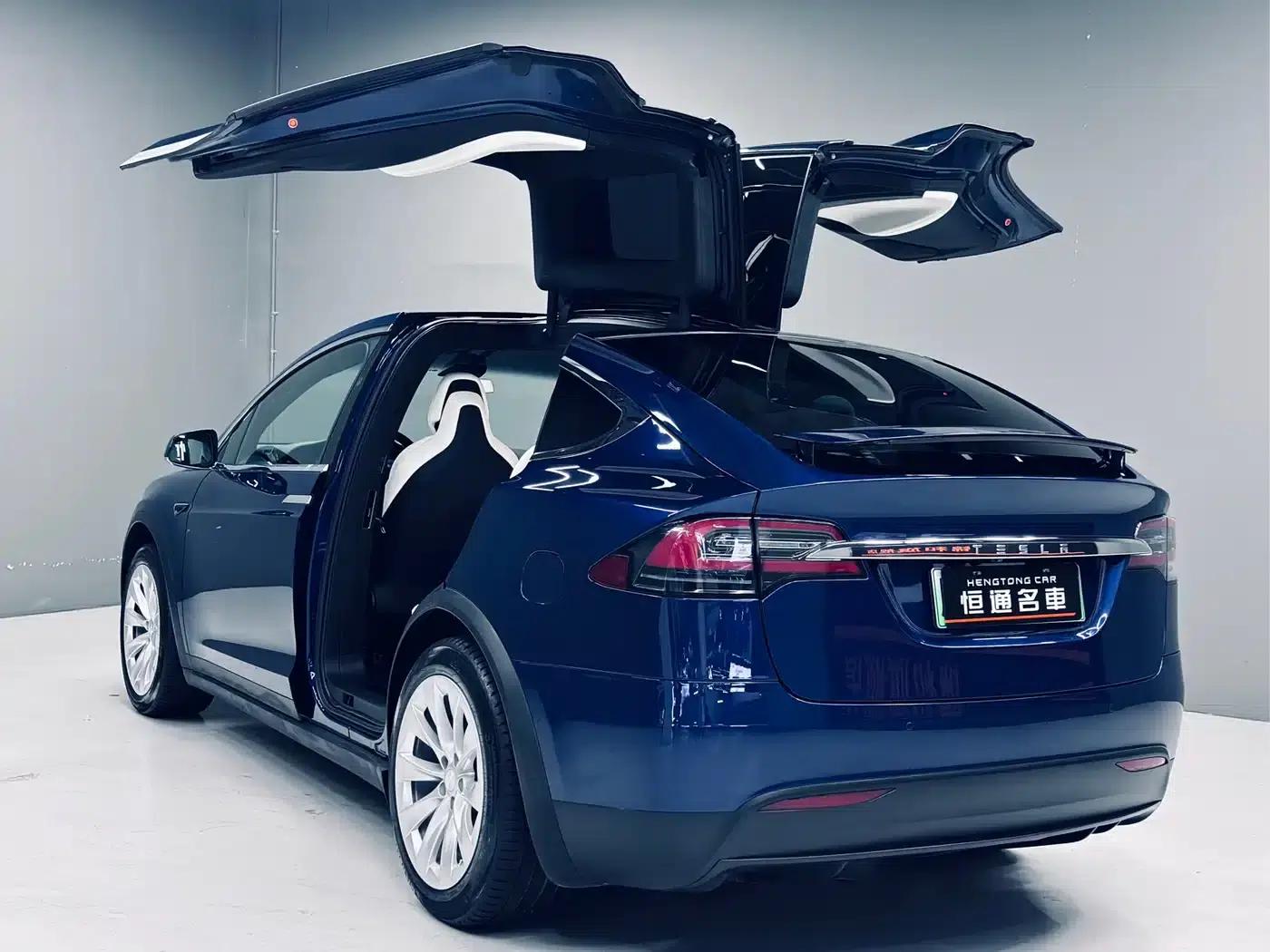 2017 Model X 100D Long Range — миниатюра 3