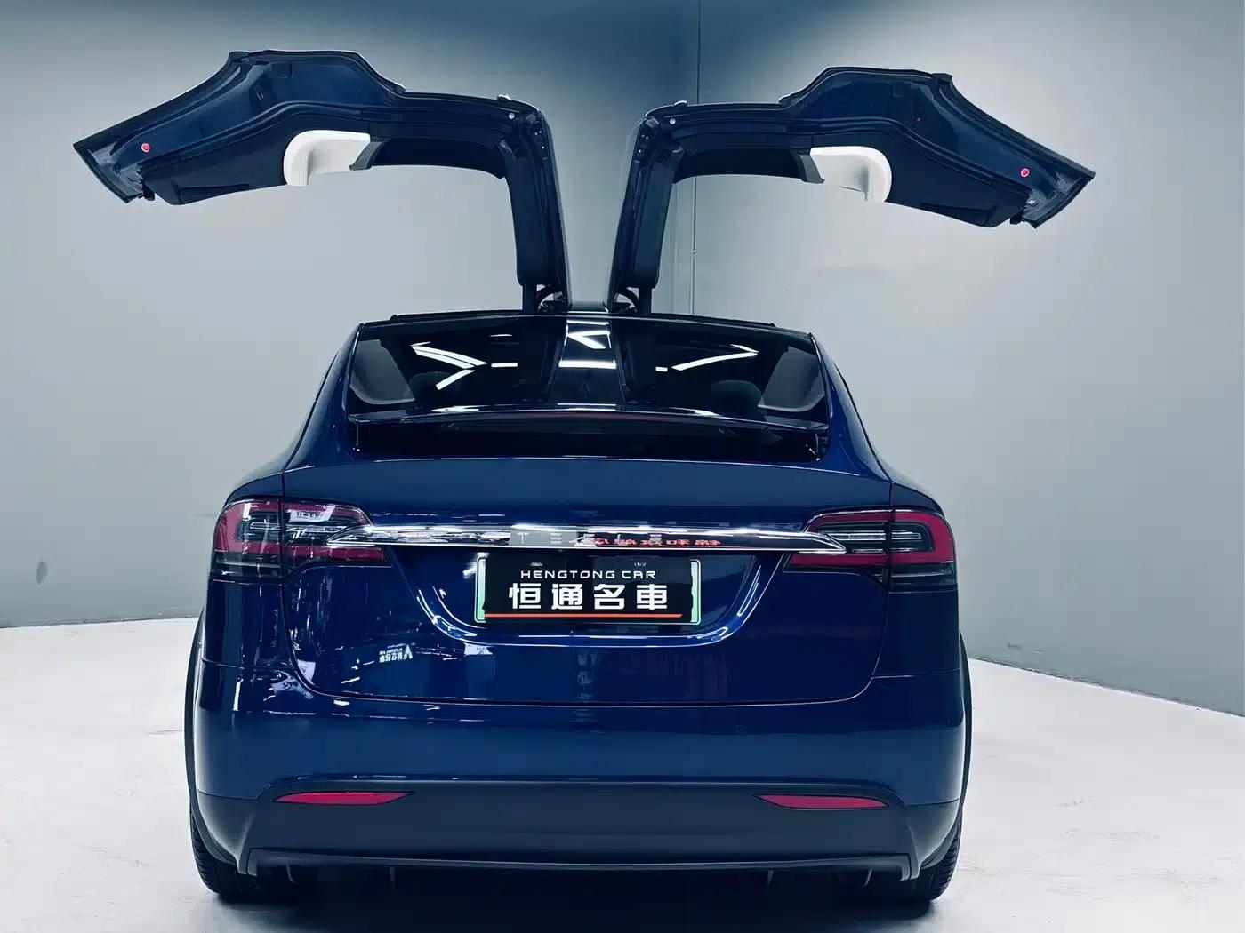 2017 Model X 100D Long Range — миниатюра 4