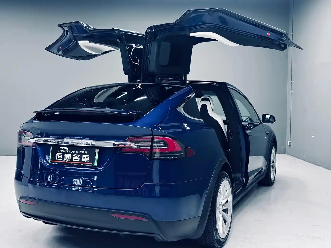 2017 Model X 100D Long Range — миниатюра 5