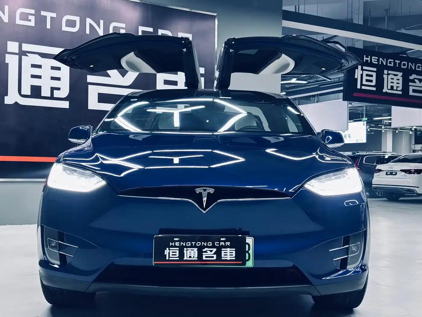 2017 Model X 100D Long Range — миниатюра 7