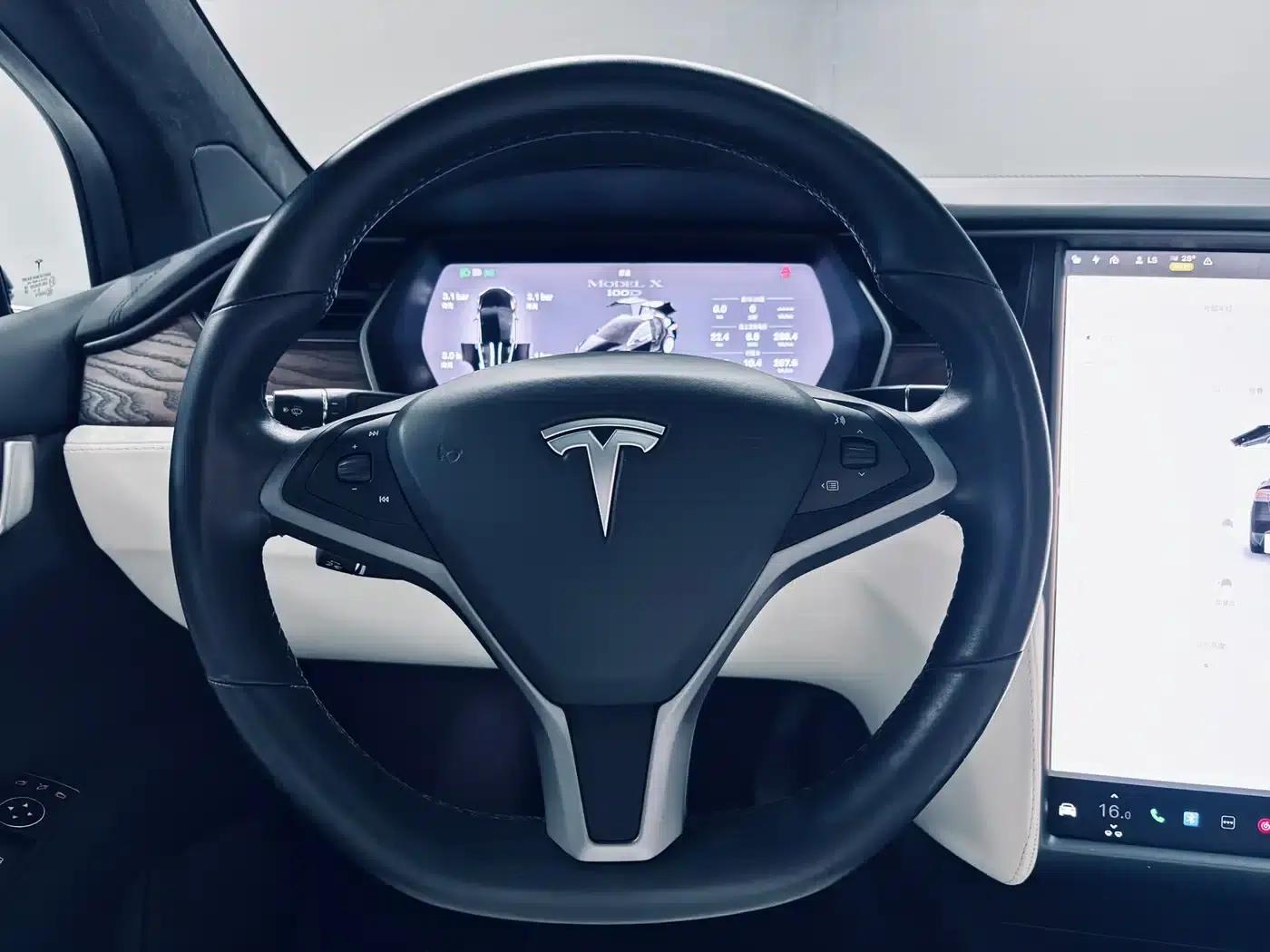 2017 Model X 100D Long Range — миниатюра 10