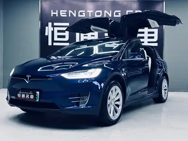 2017 Model X 100D Long Range